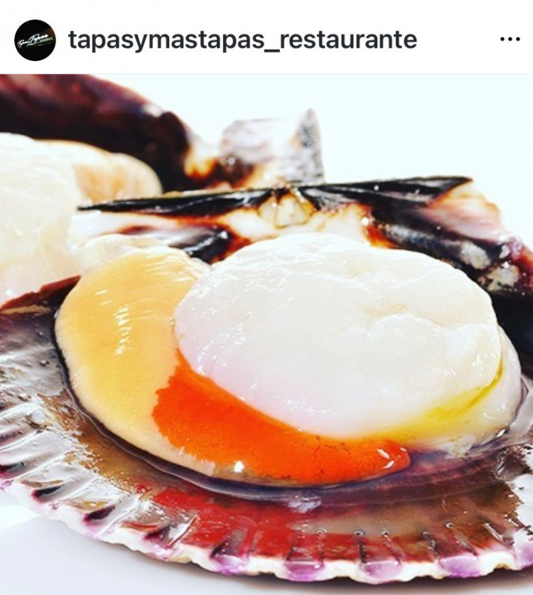 Imagen galería